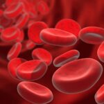 Mengenal Anemia, Penyakit Kekurangan Sel Darah Merah pada Manusia